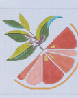 Blue Water Designs Grapefruit Beginners Kit
