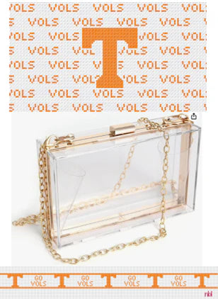 Needlepoint by Laura Tennessee Purse Insert