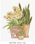 Melissa Shirley MLT749B Snake Plant & Succulents