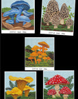 Melissa Shirley 2337C Blue Oyster Mushrooms