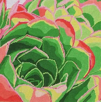 stitch succulent Jean Smith 70 Succulent – Stitch by Stitch