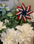 A Dragons Tale 13 mesh Patriotic Star