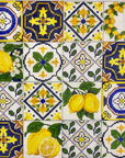 Alice Peterson AP 4244 Navy and White Lemon Collage 13 mesh