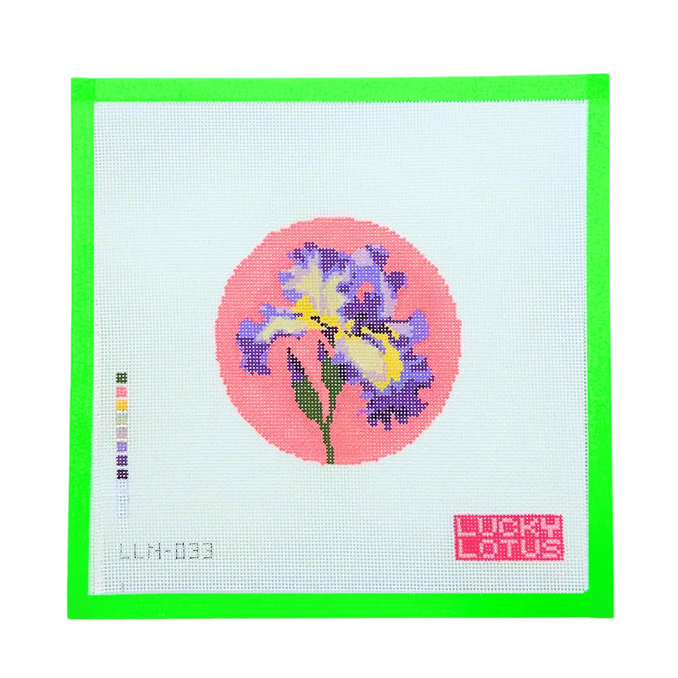 Lucky Lotus Cherry Iris (Tennessee) | Flowers of America