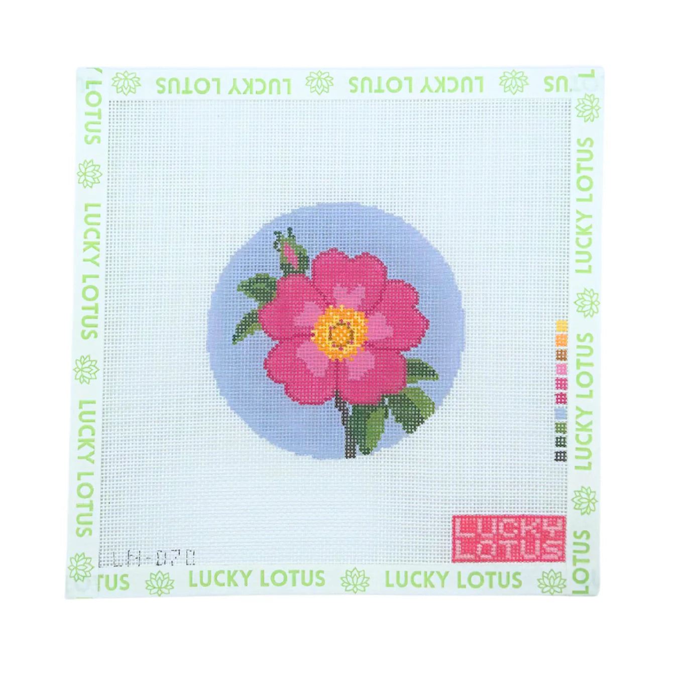 Lucky Lotus Wild Prairie Rose (Iowa &amp; North Dakota) | Flowers of America
