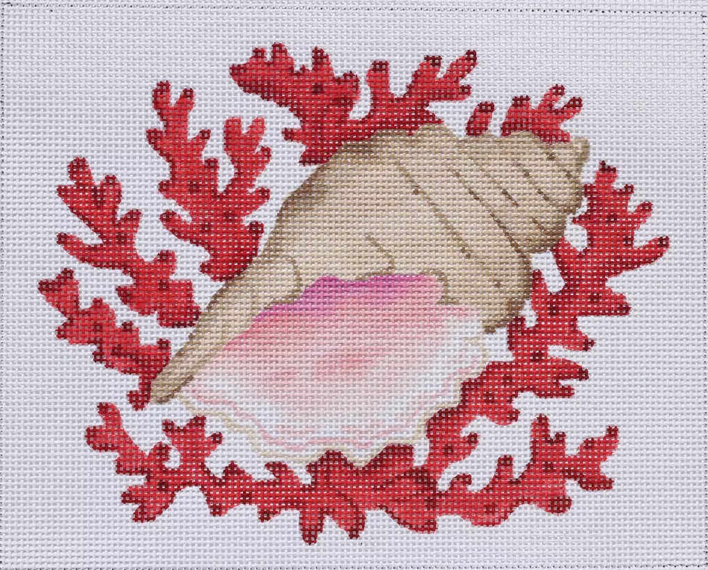 Kate Dickerson PL-283 Conch Shell on Coral