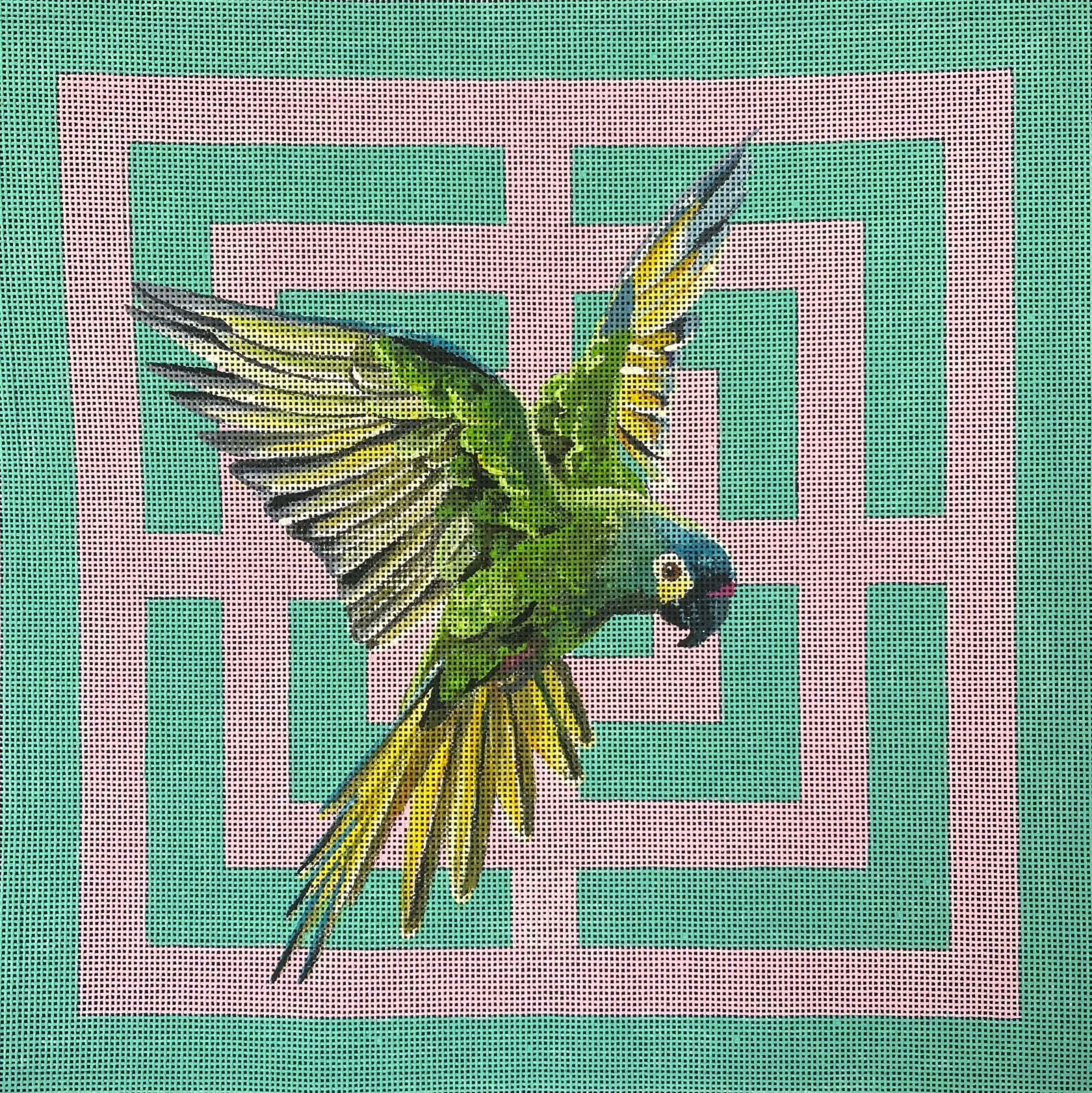 Colors of Praise AN547