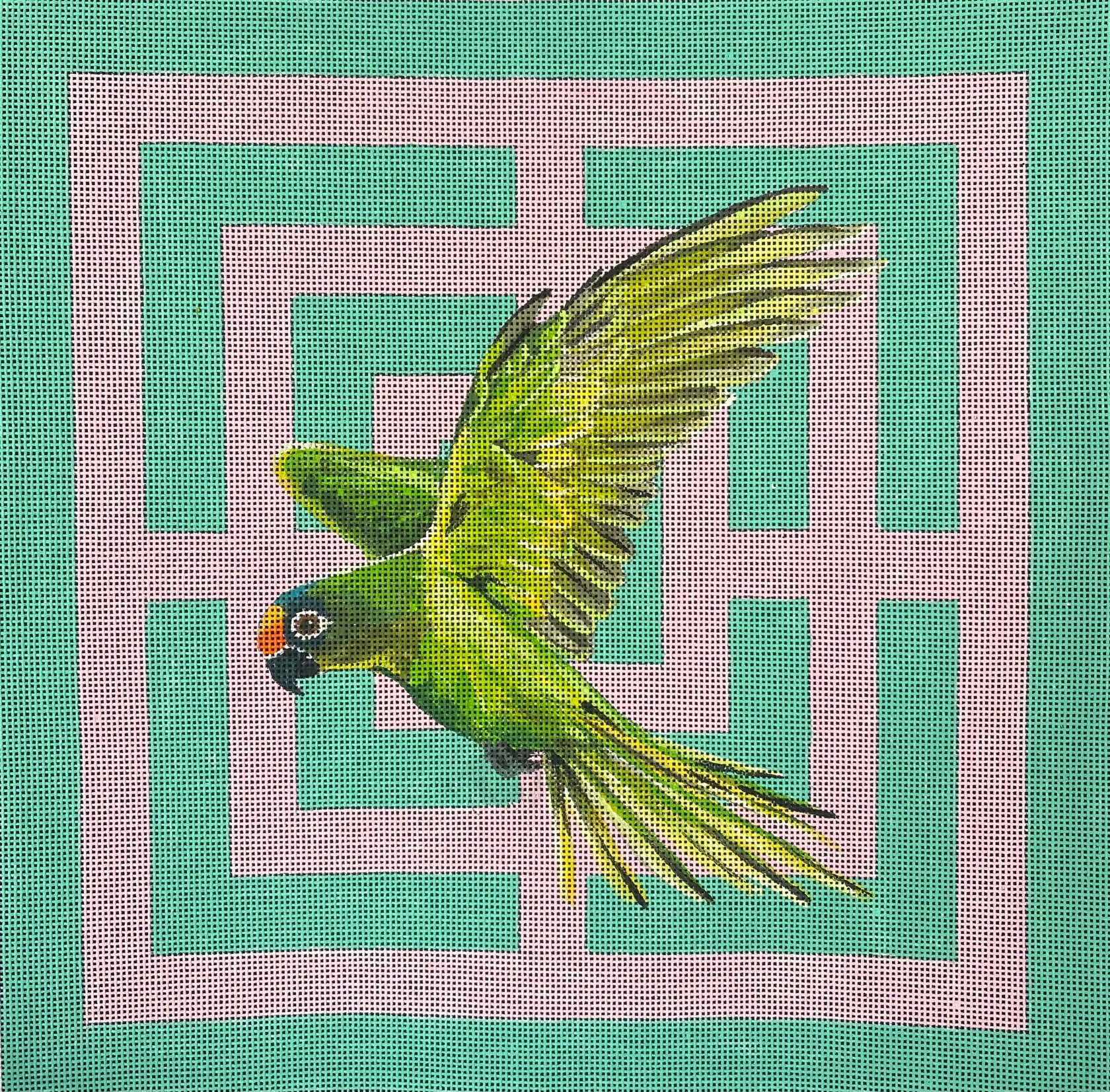 Colors of Praise AN546