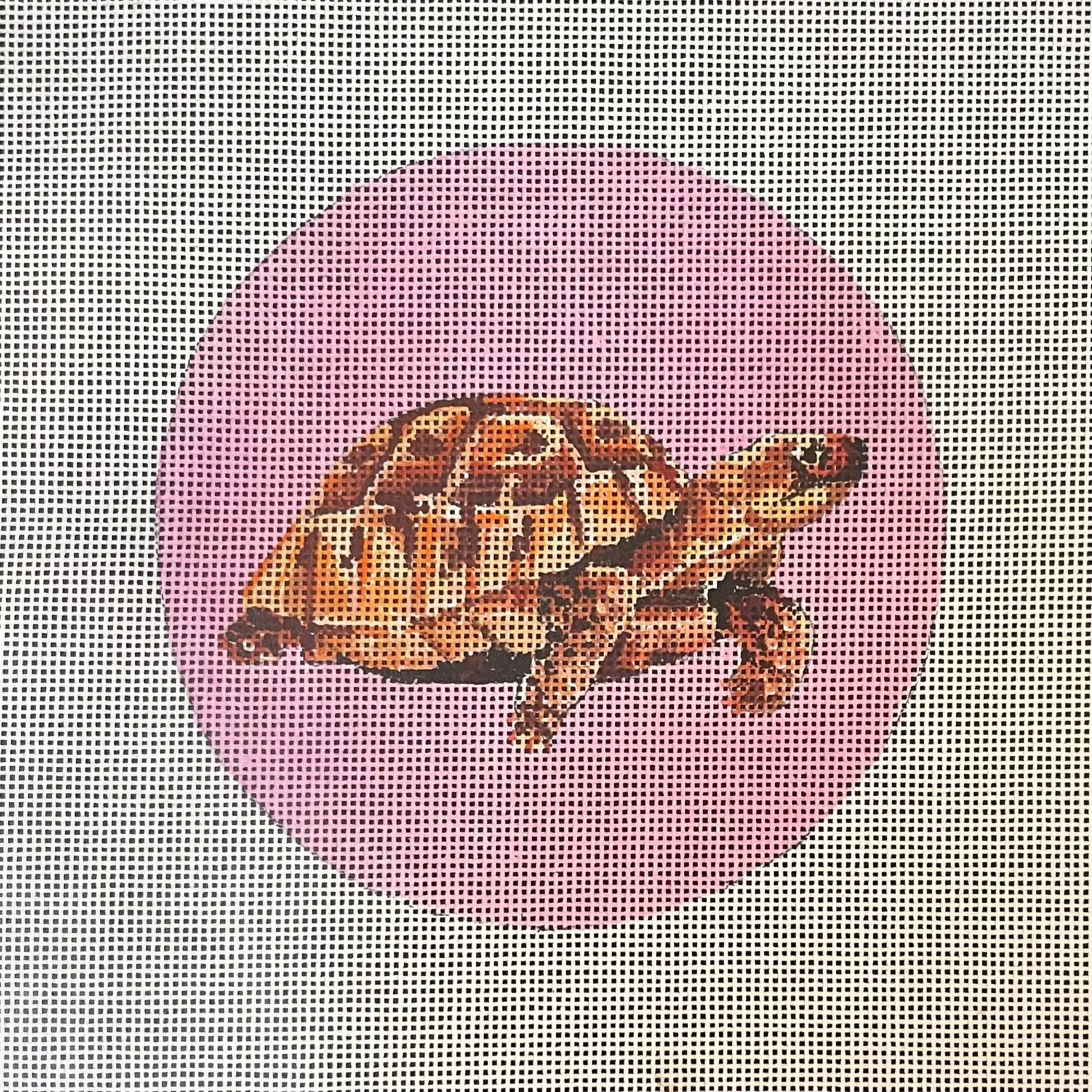 Stitch Turtle Color Colors of Praise IN816 Turtle on Pink – Stitch by Stitch