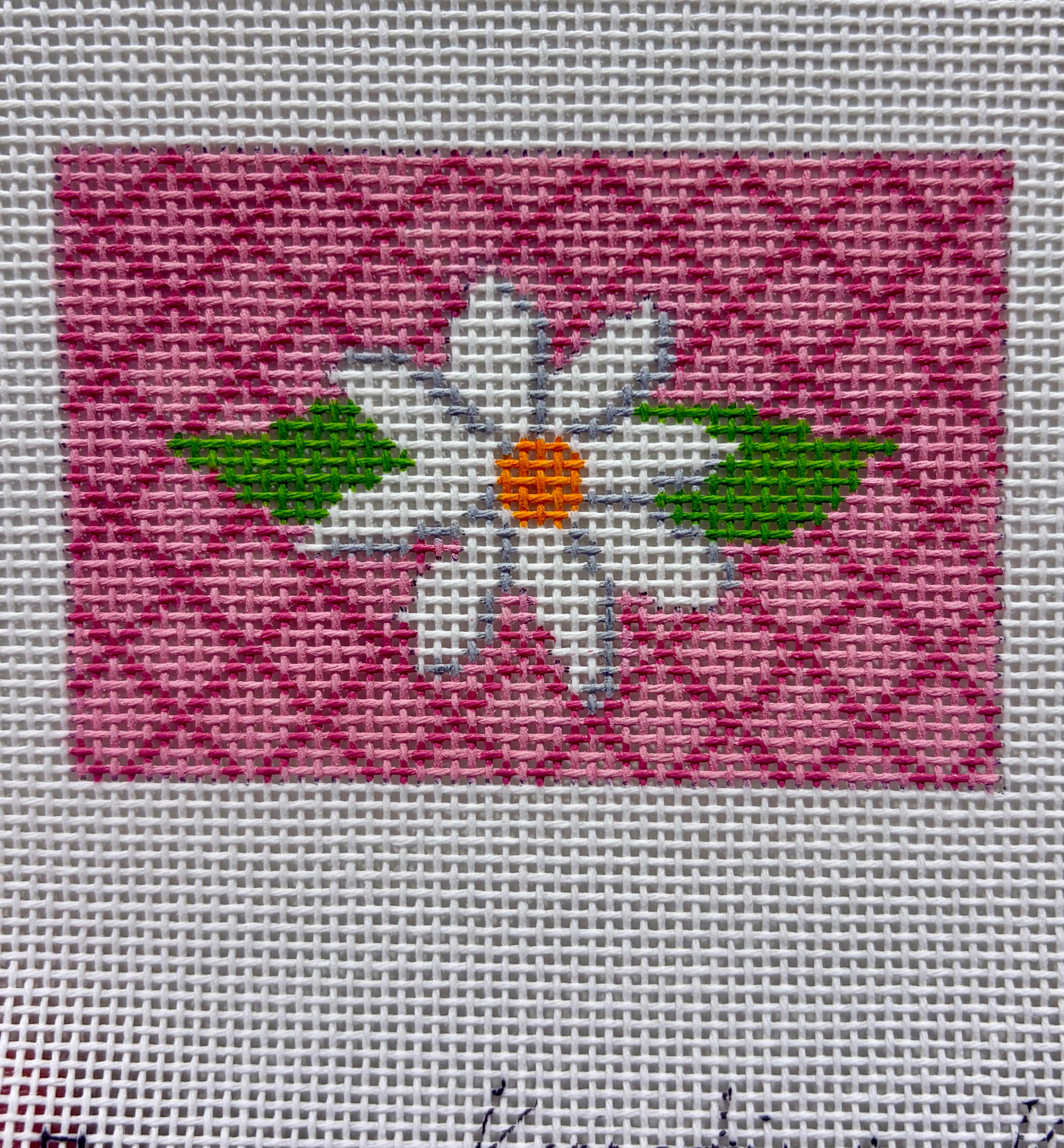 Kristine Kingston WCC-36A Wallet Insert white flower on pink lattice background