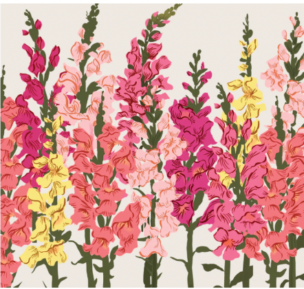 Rachel Barri RRSM02 Sally Murphy Snapdragons