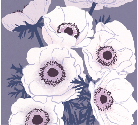Rachel Barri RRSM03 Sally Murphy Anemones