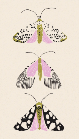 Rachel Barri RRSM07 Sally Murphy Moth Trio