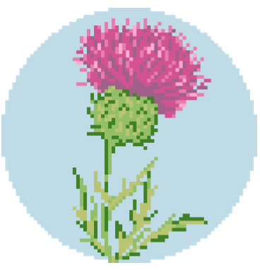 Atlantic Blue AMD-90 Flowers of the Bible Thistle