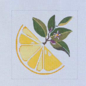 Blue Water Designs Slice of Lemon Beginners Kit