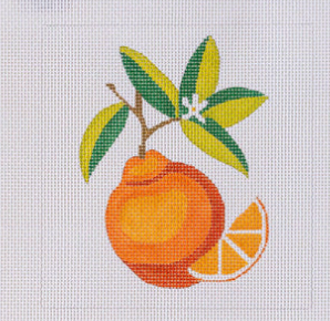 Blue Water Designs Orange Beginners Kit