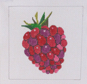 Blue Water Designs Raspberry Beginners Kit