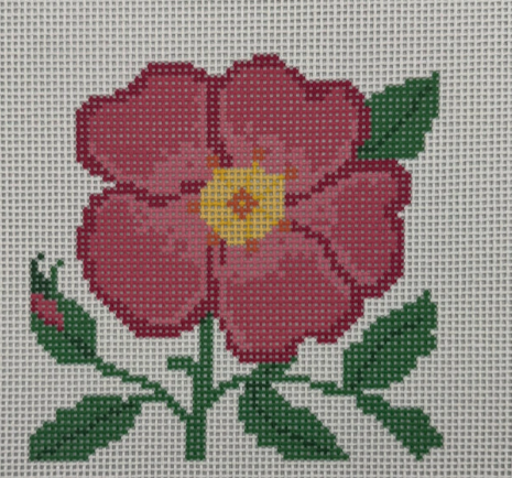 Patricia Sone Wild Rose
