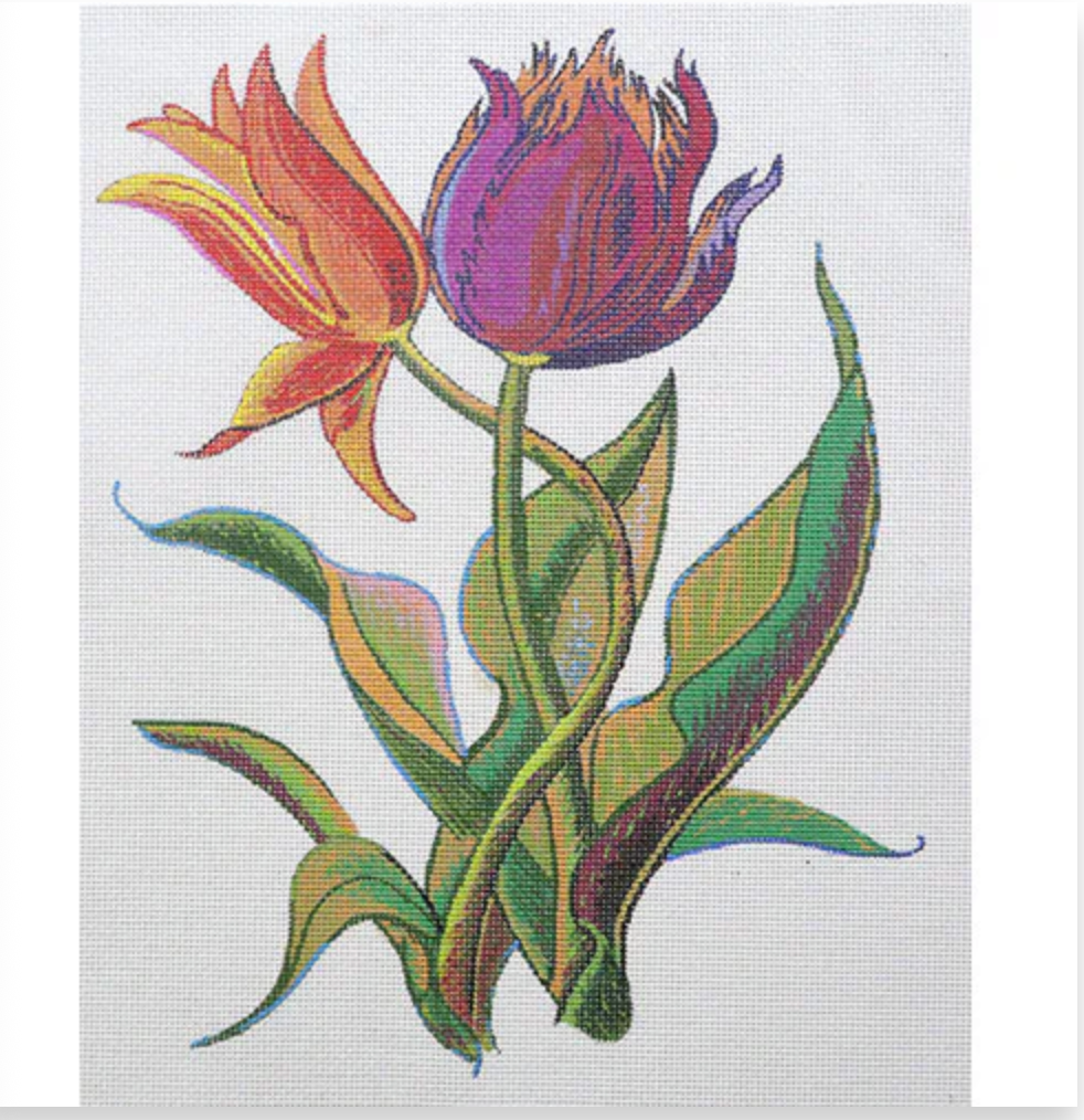 Zecca ZEWA 101 Tulips 13/18