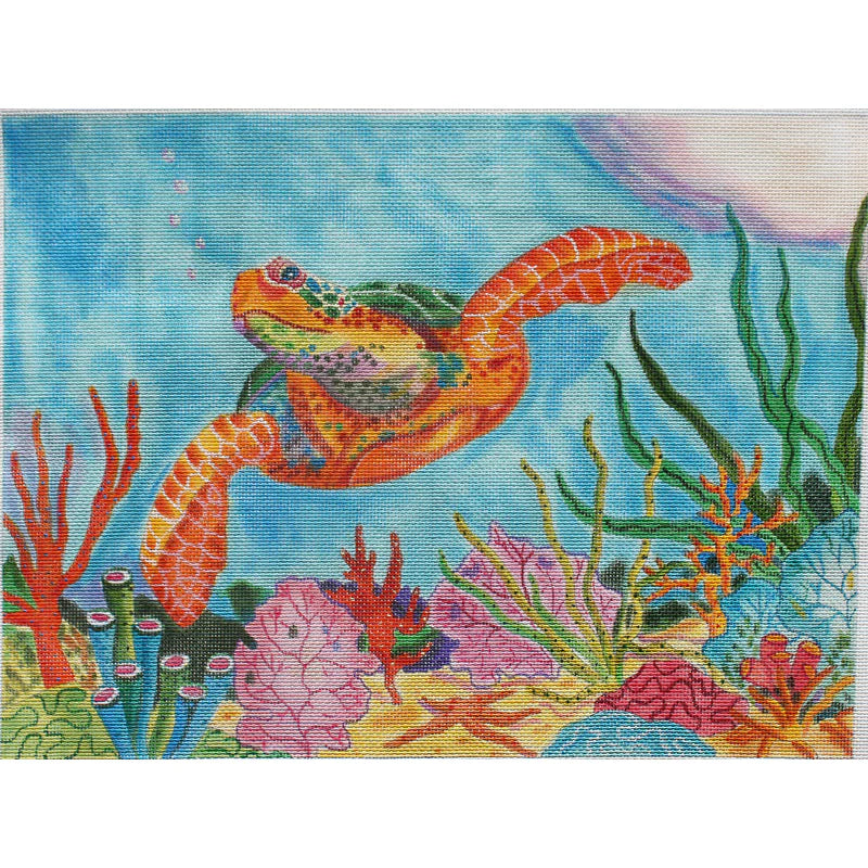 PLD Designs EN 055 Turtle: Reef rider
