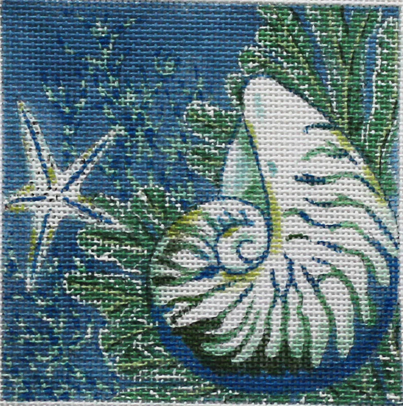 PLD Designs SH 1838 Shark Eye Shell Coaster