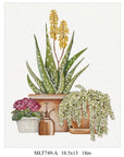 Melissa Shirley MLT749 Aloe & Succulents