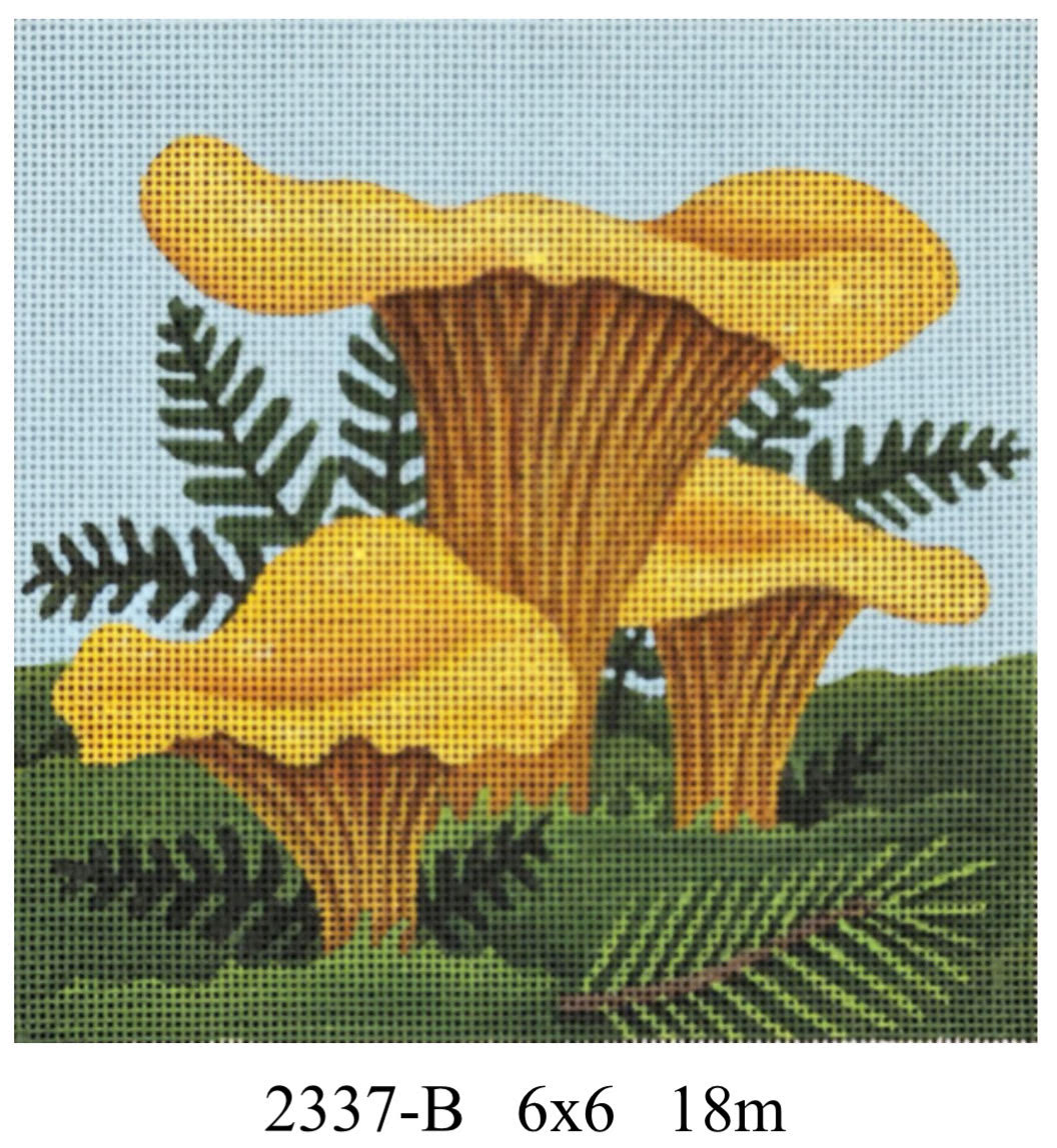Melissa Shirley 2337B Chanterelle Mushrooms