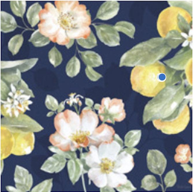 Oasis Needlepoint B31 Citrus Charm Blue
