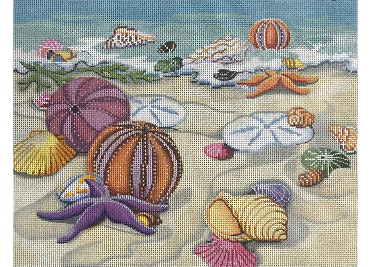 Alice Peterson AP2820 Seashells on Shore