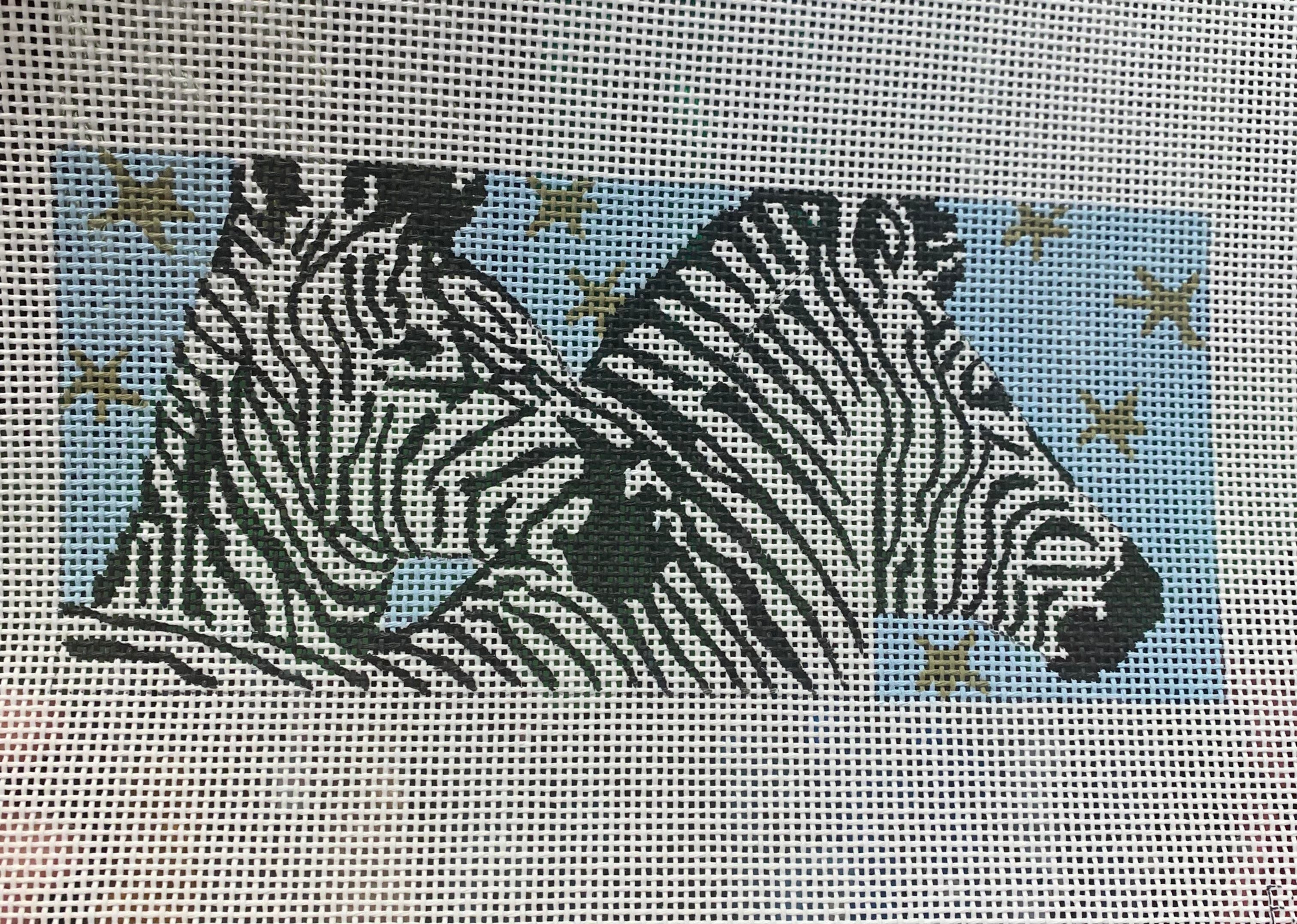 Colors of Praise BR 136 Zebras