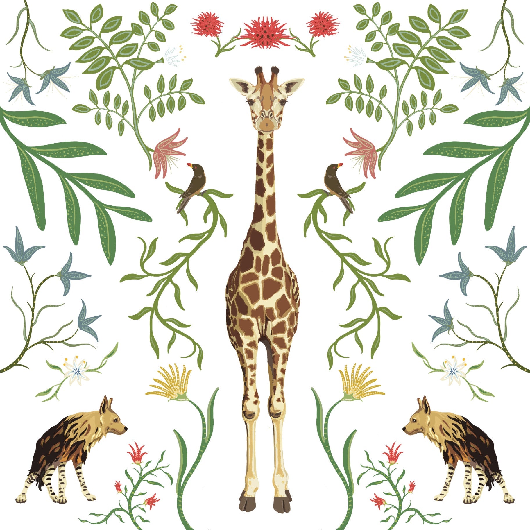Anne Thomsen Giraffe - White Background