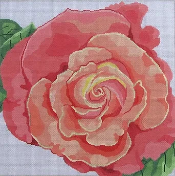 Jean Smith 90B Coral Rose