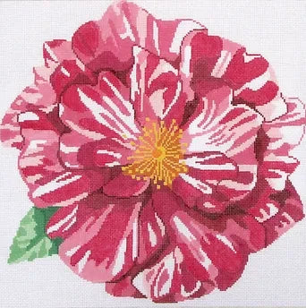 Jean Smith 139C16 Simple Flowers Candy Cane Rose