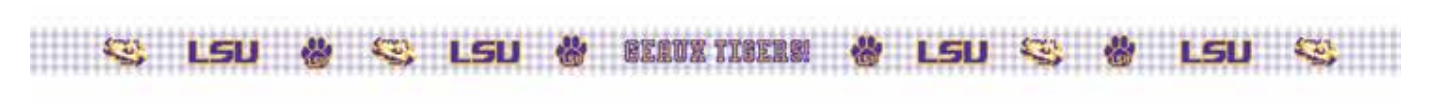 Wipstitch LSU Belt