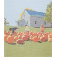 Alan-Claude AC007-13 Fall Pumpkin 13 mesh