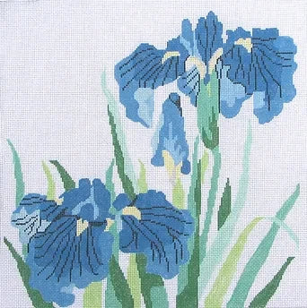 Jean  Smith 68 Blue Siberian Iris
