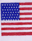 Evergreen Needlepoint CC-05 American Flag Insert